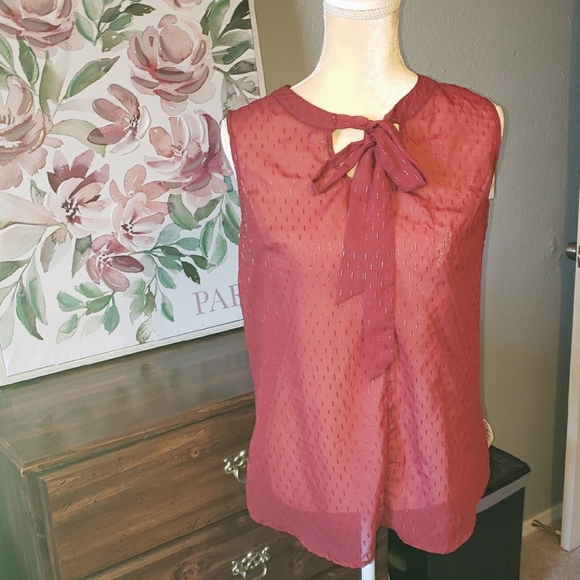 Elegant Sheer Sleeveless Blouse - Picture 1 of 7